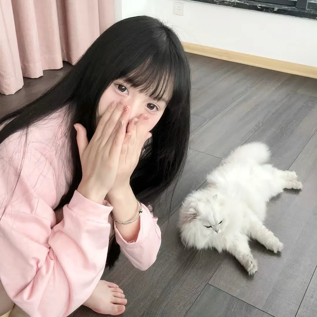 天线宝宝(重启版)